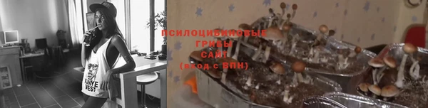 mix Новокубанск