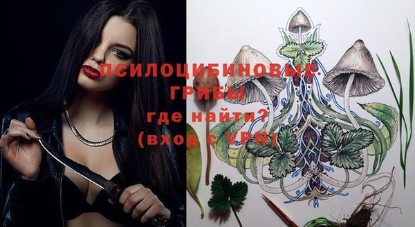 первитин Новозыбков