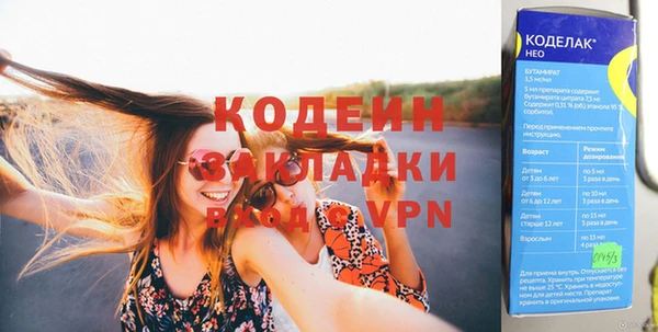прущие грибы Нея