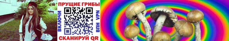 Псилоцибиновые грибы GOLDEN TEACHER  Раменское 