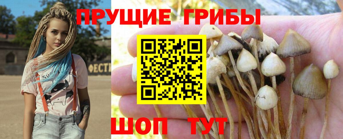 Галлюциногенные грибы GOLDEN TEACHER Раменское